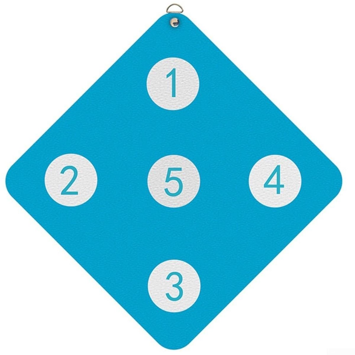 Dailygoods- Zwaarddoel Duurzaam - Hekwerk Training - Opgehangen Doel - Vijf Doelen - Geschikt voor Foil/Epee/Sabel - Afmetingen 33x33 cm - Schermtarget