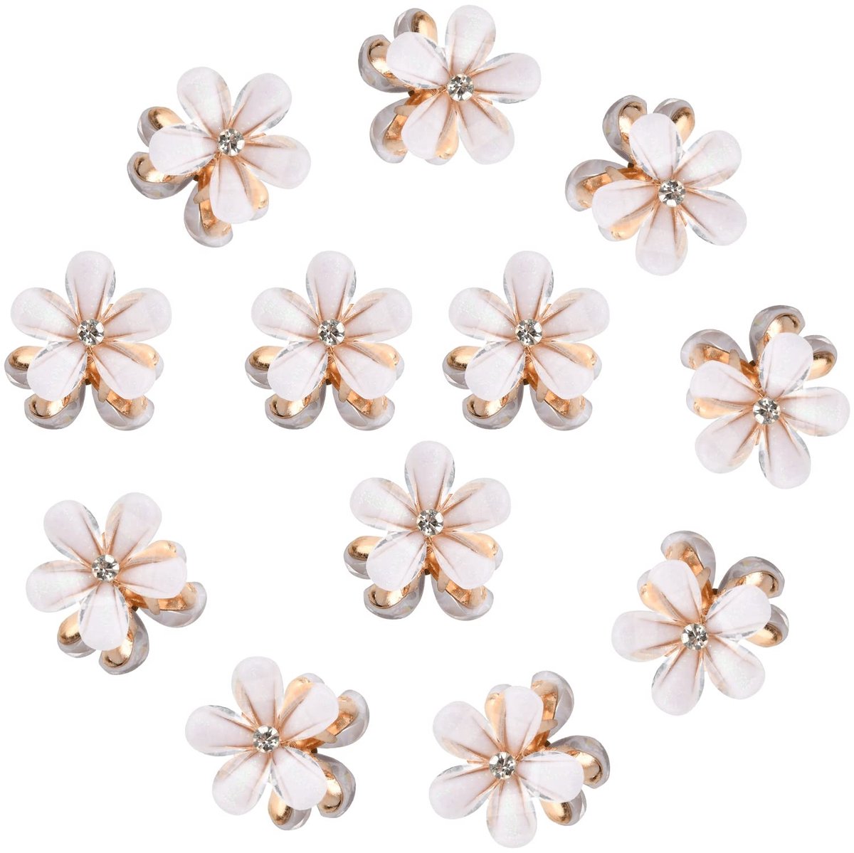 Dailygoods- Haarclips 12 Stuks - Mini Klauwclips - Bloem Motief - Antislip - Haaraccessoires - Duurzaam Materiaal - Haarklemmen