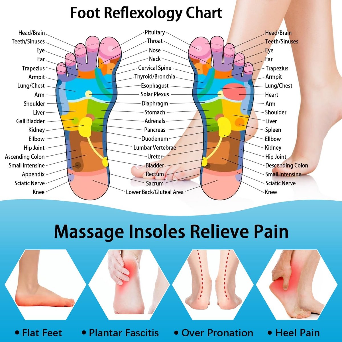 Dailygoods- Inlegzolen voor mannen/vrouwen - Voetvermoeidheid verlichten - Verbeterde stabiliteit - Antislip - Op maat knipbaar - Magnetische massage - Schoeneninlegzolen