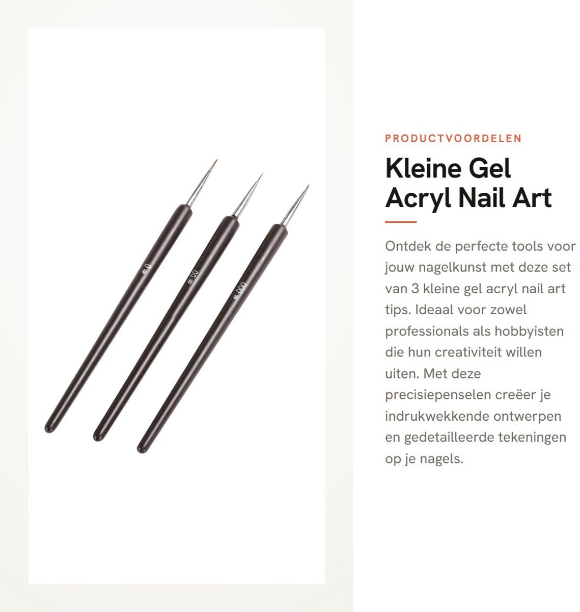 Dailygoods- Nail Art Pen Set van 3 - Professionele Schilder Tool - Acryl/Gel Borstels - Gedetailleerd Schilderen - Hoge Kwaliteit - Scherp Penpunt - Nailartborstel