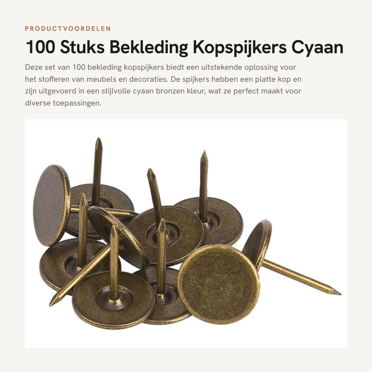 Dailygoods- Kopspijkers 100 Stuks - Bekledingsspijkers - Antieke Stijl - Duurzaam Ijzer - Platte Kop - Decoratie Accessoires - Bekledingsnagels