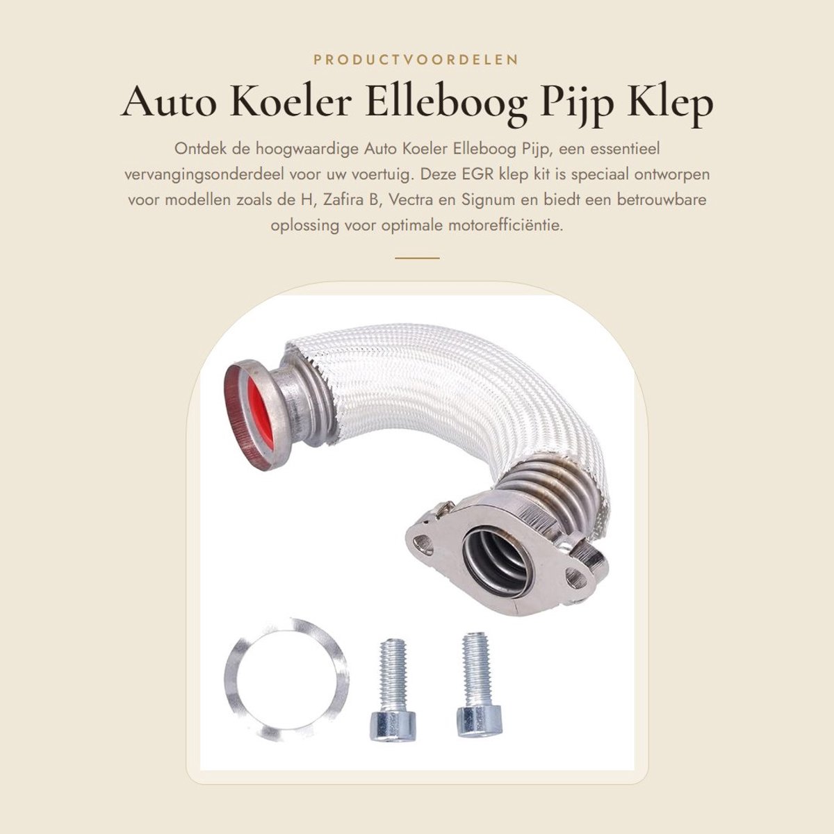 Dailygoods- Koeler EGR-kleppenset - Vervanging voor H/Zafira B/Vectra/Signum - Artikelnummer 55202704 - Metaal - Inclusief bouten/pakking - EGR-klep