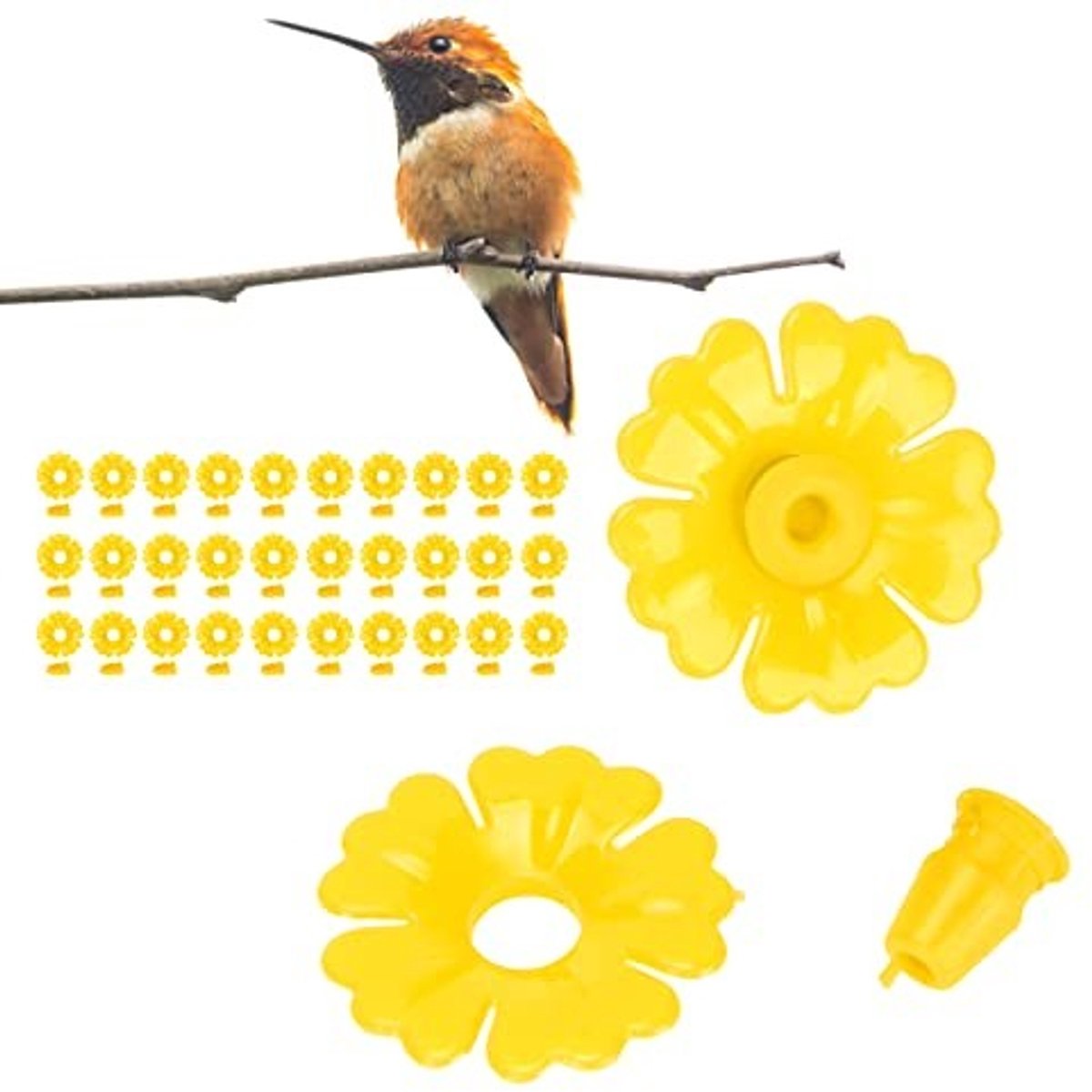 Dailygoods- Vogelvoederbak 30 Stuks - Vervangende Onderdelen - Hangende Vogelbadkom - Kunststof - Eenvoudige Installatie - Geschikt voor Kolibrievoeders - Kolibrievoeder
