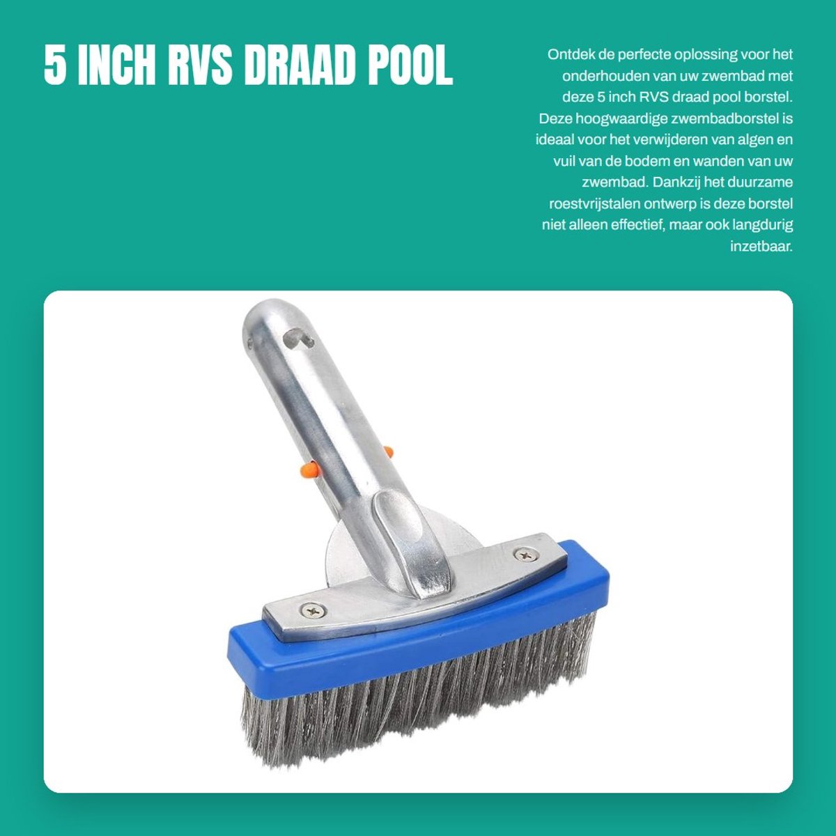 Dailygoods- Algenborstel 12,7 cm - Zwembadborstel - Roestvrij Staal - Slijtvast - Duurzaam - 45 graden handgreep
