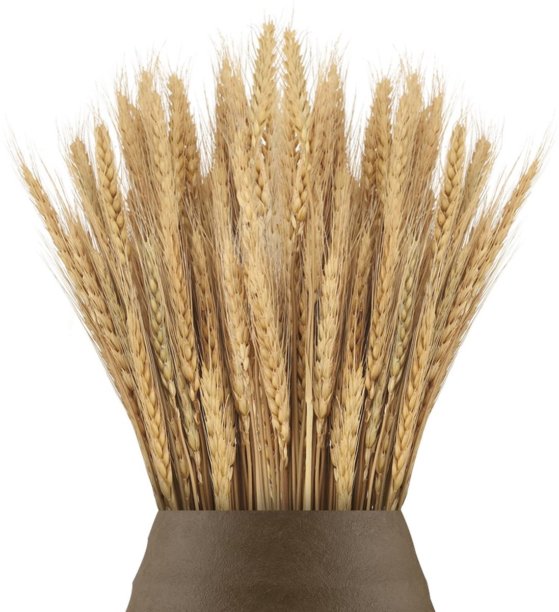 Dailygoods- Gedroogde Bloemen 100 Stuks - Tarwegras Boeket 40 cm - Kunstbloemen - Decoratie Tafel - Bruiloft - Kerstkrans - 100% Natuurlijk