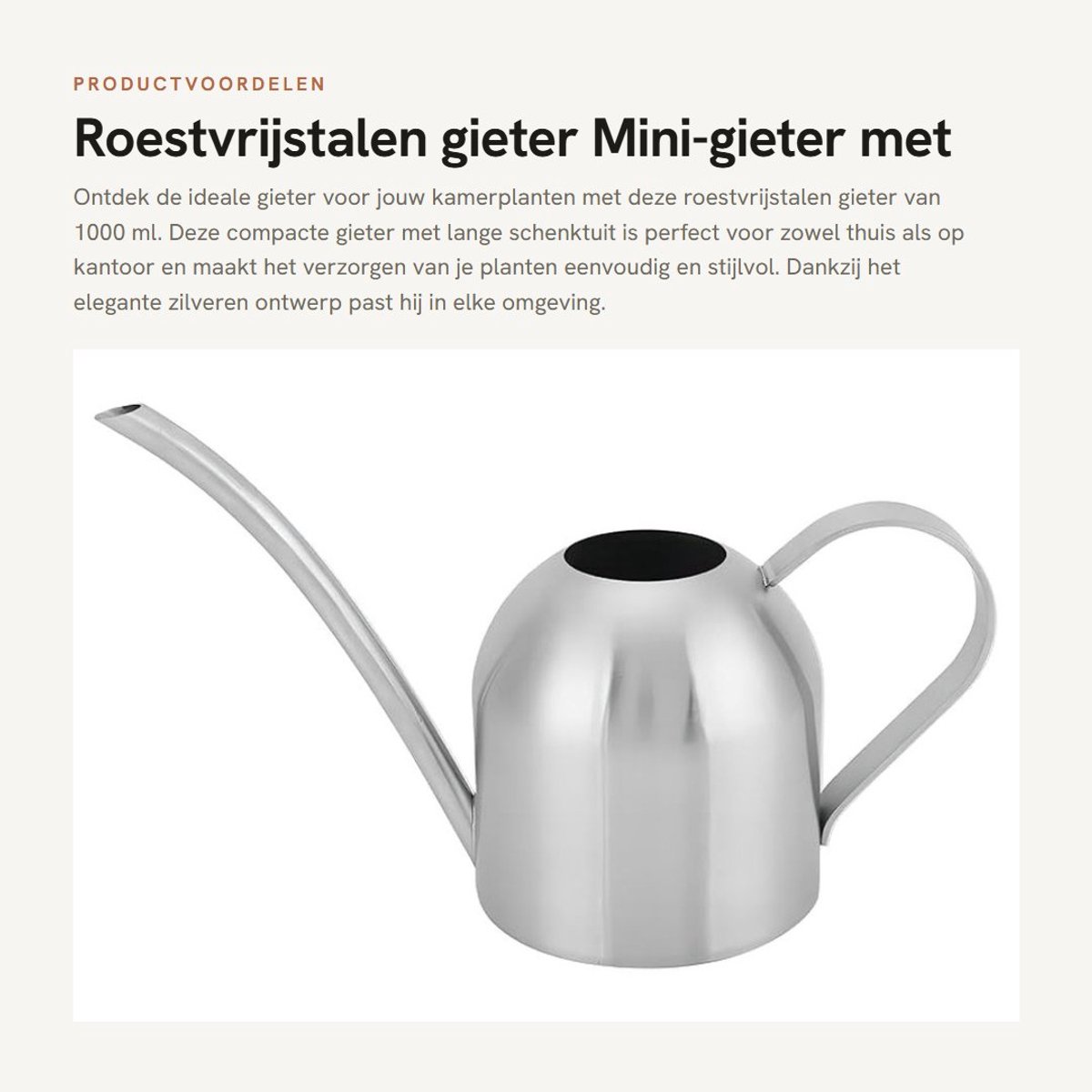 Dailygoods- Gieter 1000 ml - Roestvrij Staal - Kleine Gieter - Sproeikop - Planten Water geven - Balkon/Huis/Garten - Plantenbewateringskan