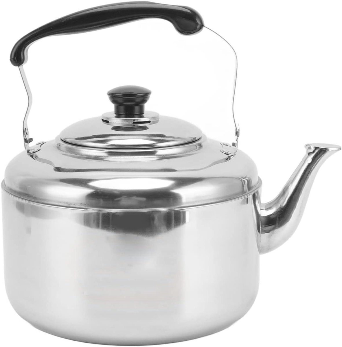 RVS Waterkoker - Theeketel Grande - Water Koken - Snelle Verwarming - 5.5 Liter - Zilverkleurig