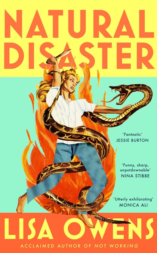 Natural Disaster - cover