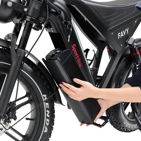 FAVY Sportline Fatbike - Limited GT20 Edition - Rijklaar - 65 km Actieradius - Verlengd Duo Zadel - NFC - Alarmsysteem - LCD Display - Hydraulische Schijfremmen - Bekerhouder - 250W Motor - Incl. Elektrische Fietspomp - 2 Jaar Garantie - Zwart van Merkloos — afbeelding 2