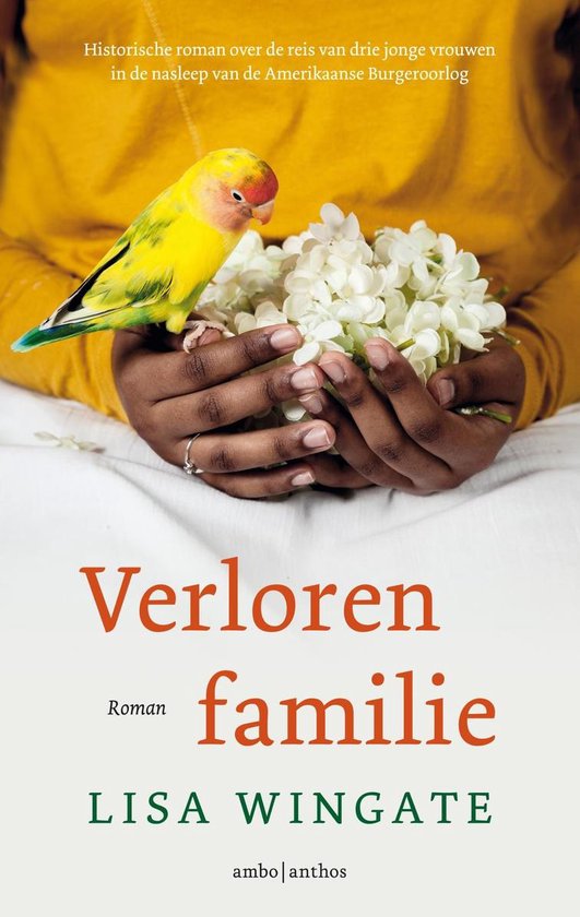 Verloren familie - cover