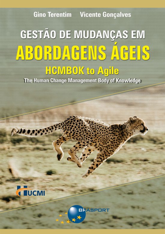 Gestão de Mudanças em Abordagens Ágeis - cover
