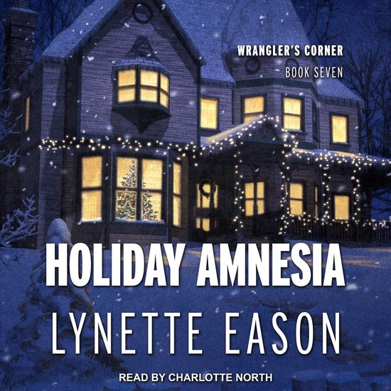 Holiday Amnesia - cover