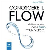Conoscere il Flow