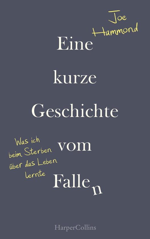 Eine kurze Geschichte vom Fallen – Was ich beim Sterben ü ... - cover