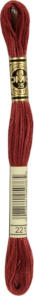 DMC Borduurgaren-221 Bruin