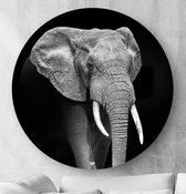 HIP ORGNL Schilderij Elephant - Olifant - ⌀60cm - Wandcirkel dieren - Zwart wit
