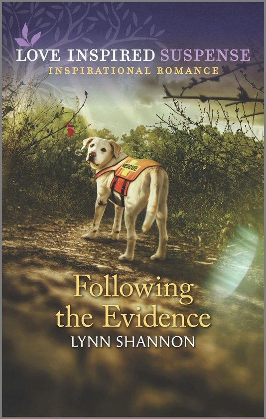 Following the Evidence - cover