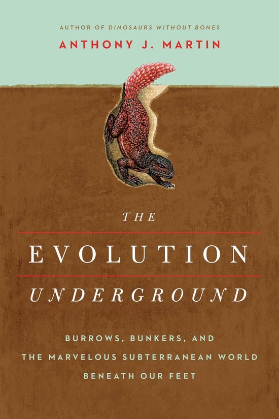 The Evolution Underground - cover