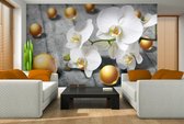 Modern Flowers Orchids Spheres Photo Wallcovering