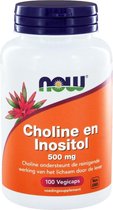 Now Foods Choline & Inositol 100 Caps