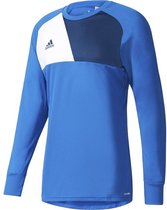 adidas Assita 17 GK Jersey Keepersshirt Heren Sportshirt - Maat XL  - Mannen - blauw/wit