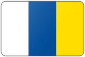 Vlag gemeente Doetinchem - 200 x 300 cm - Polyester