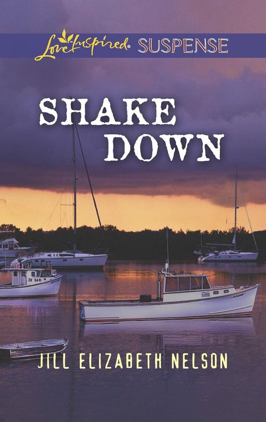 Shake Down (Mills & Boon Love Inspired Suspense) - cover