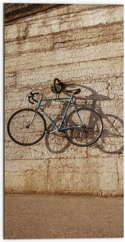 Dibond - Blauwe Wielrenfiets Hangend aan Stenen Muur - 50x100 cm Foto op Aluminium (Met Ophangsysteem)