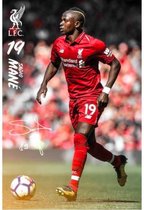 Liverpool Poster Mane 19