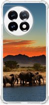 Bumper Hoesje OnePlus 11 Telefoonhoesje met doorzichtige rand Olifanten