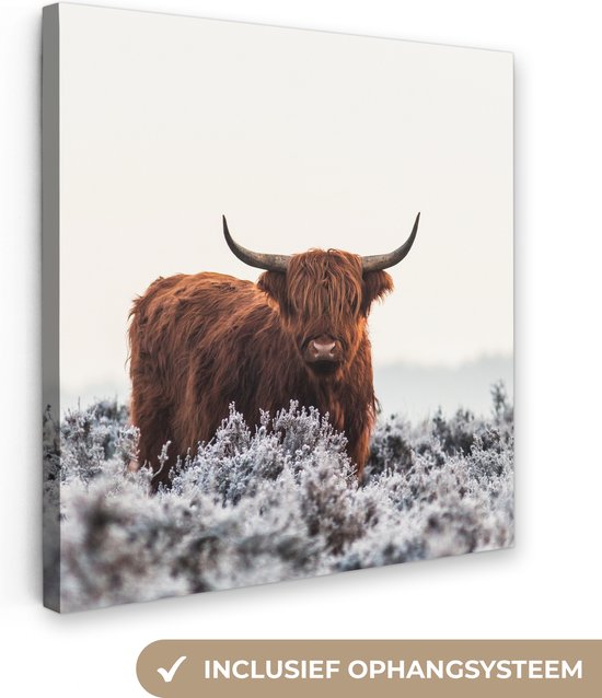 Canvas Schilderij Schotse hooglander - Dier - Natuur - Wit - Wanddecoratie