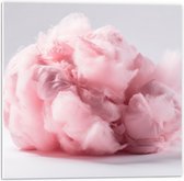 PVC Schuimplaat - Wolk van Zoete Roze Suikerspin - 50x50 cm Foto op PVC Schuimplaat (Met Ophangsysteem)