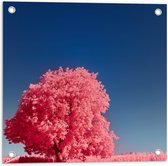 Tuinposter – Landschap - Boom - Weg - Planten - Zand - Roze - 50x50 cm Foto op Tuinposter (wanddecoratie voor buiten en binnen)