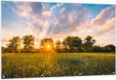 Tuinposter – Zonsondergang over Veld met Kleine Wilde Bloemen - 150x100 cm Foto op Tuinposter (wanddecoratie voor buiten en binnen)