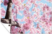 Tuinposter - Tuinschilderij voor buiten - Schuttingdoek - Tuin - Bloemen - Sakura - Lente - Roze - Schutting decoratie - Tuinposters - Tuindecoratie - Schuttingposter - 60x40 cm - Tuinversiering - Buitenposter - Balkon decoratie