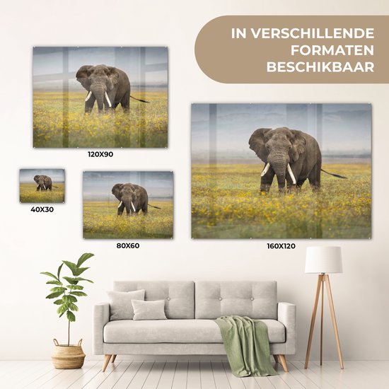 MuchoWow® Peinture sur verre 120x90 cm - Peinture sur verre acrylique - Éléphant - Fleurs - Herbe - Animaux - Nature - Photo sur verre - Peintures