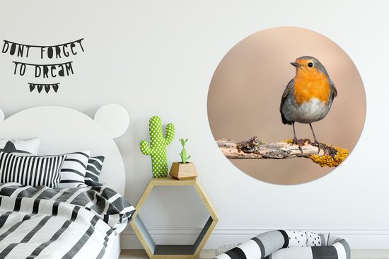 WallCircle - Cercle Mural - Cercle Mural - Rouge-gorge - Vogel - Animaux - Animaux - Aluminium - Dibond - 140x140 cm - Intérieur et Extérieur