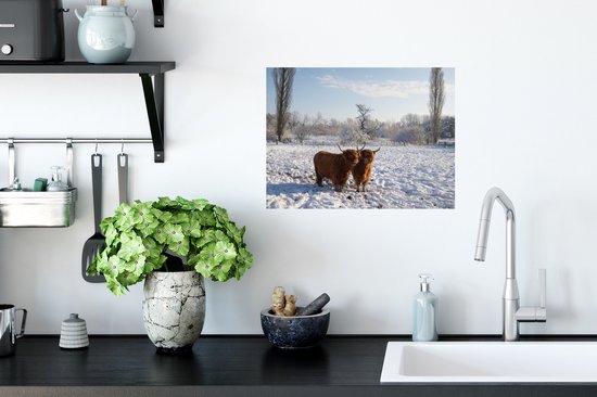 Muurstickers - Sticker Folie - Schotse hooglander - Licht - Sneeuw - 40x30 cm - Plakfolie - Muurstickers Kinderkamer - Zelfklevend Behang - Zelfklevend behangpapier - Stickerfolie