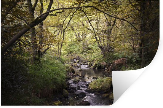 Stickers muraux - Film autocollant - Cerf - Arbre - Forêt - 30x20 cm - Film adhésif - Stickers muraux Chambre d'enfant - Papier peint autocollant