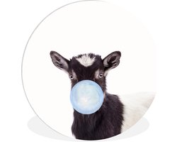Muurdecoratie kinderkamer - Geit - Dieren - Boerderij - Kauwgom - Blauw - Wandcirkel dieren - Muurcirkel - Kinder decoratie - 30x30 cm - Kunststof