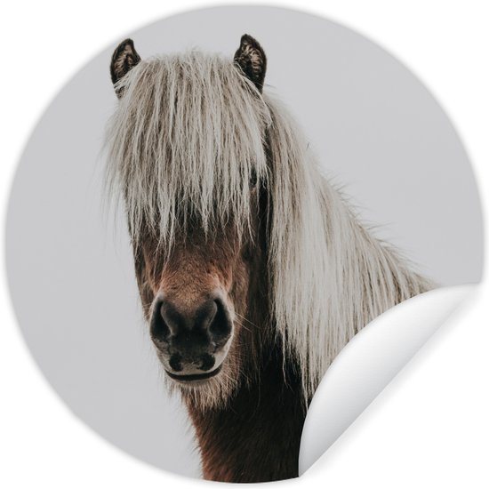 Behangsticker kinderkamer - Paard - Paarden - Dieren - Portret - Bruin - Wit - Muurdecoratie voor meisjes - Wandcirkel kinderkamer - ⌀ 30 cm - Meiden