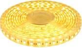 LED strip 5m 24V 2700K IP68 300 SMD 5050 LEDS