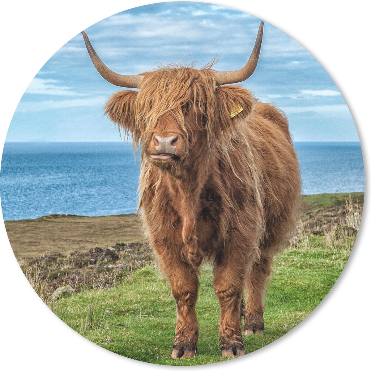 Muismat rond 30x30 cm - Mousepad Schotse Hooglander - Water - Horens - Ronde muismatten