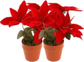 Décoration de Noël Plante artificielle - 2x - Étoile de Noël - rouge -20 cm - pour l'intérieur
