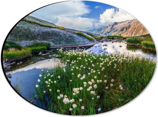 Dibond Ovaal - Bergen - Water - Planten - Bloemen - Wolken - 28x21 cm Foto op Ovaal (Met Ophangsysteem)