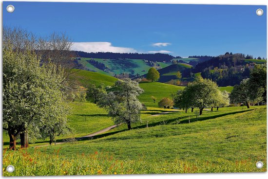 Tuinposter – Bergen - Heuvel - Landschap - Gras - Bomen - 75x50 cm Foto op Tuinposter (wanddecoratie voor buiten en binnen)