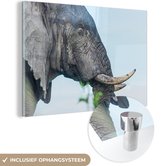 MuchoWow® Glasschilderij 120x80 cm - Schilderij acrylglas - Olifant - Dieren - Grijs - Natuur - Foto op glas - Schilderijen