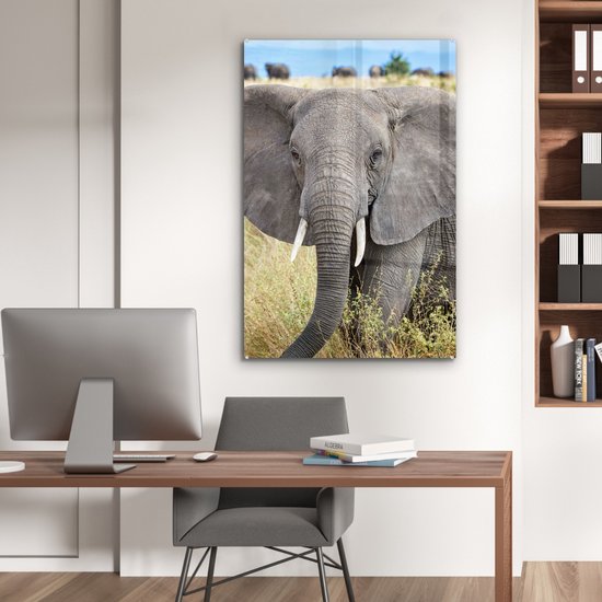 MuchoWow® Peinture sur verre 80x120 cm - Peinture sur verre acrylique - Éléphant - Animaux - Herbe - Nature - Photo sur verre - Peintures