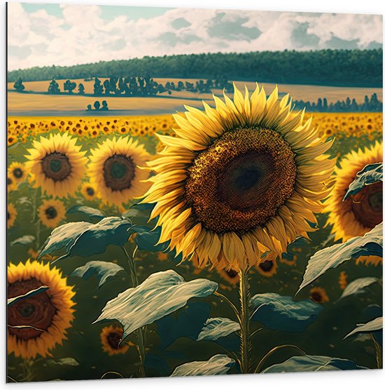 Dibond - Close-up van Zonnebloemen Omringd door Zonnebloemen in een Zonnebloemenveld - 100x100 cm Foto op Aluminium (Met Ophangsysteem)