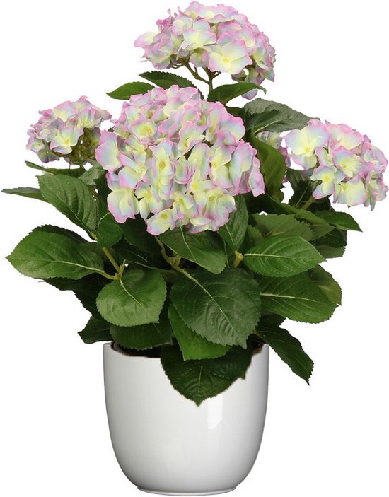 Hortensia kunstplant/kunstbloemen 45 cm - paars/groen - in pot wit glans - Kunst kamerplant